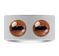 Звериные_02617