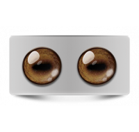 Звериные_02619