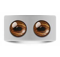 Звериные_02620