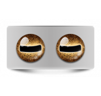 Звериные_02621