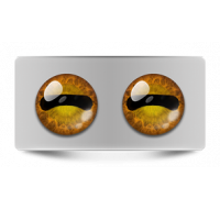 Звериные_02622