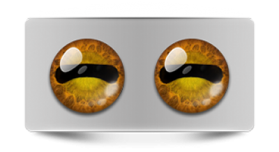 Звериные_02622