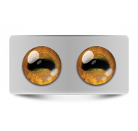 Звериные_02623