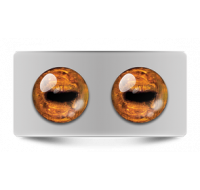 Звериные_02624