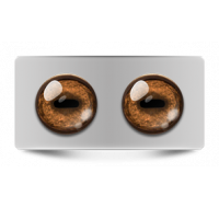 Звериные_02625