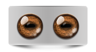 Звериные_02625