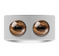 Звериные_02626