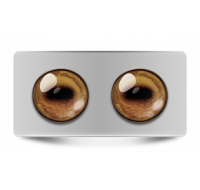 Звериные_02629