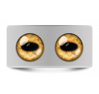 Звериные_02632