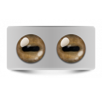 Звериные_02635