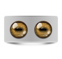 Звериные_02636