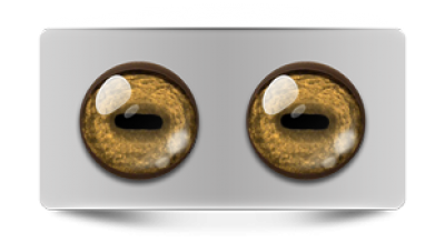 Звериные_02636