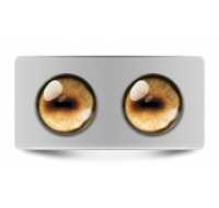 Звериные_02637