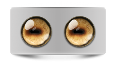 Звериные_02637