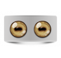 Звериные_02638