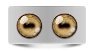 Звериные_02638