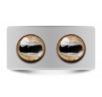 Звериные_02639