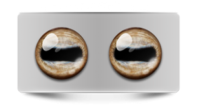 Звериные_02639