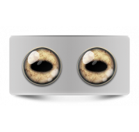 Звериные_02640