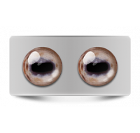 Звериные_02641