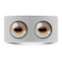 Звериные_02642