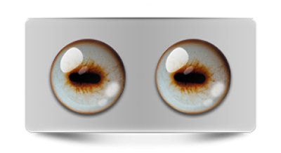 Звериные_02642