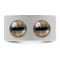 Звериные_02644