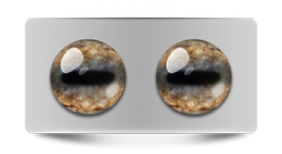 Звериные_02644