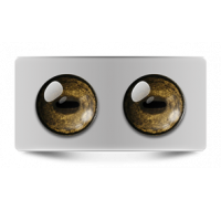 Звериные_02645