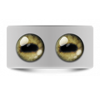 Звериные_02647