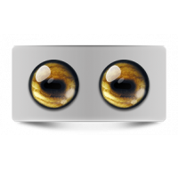 Звериные_02648