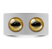 Звериные_02649