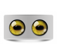 Звериные_02650