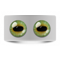 Звериные_02651