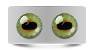 Звериные_02651