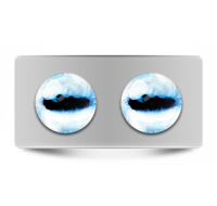 Звериные_02657