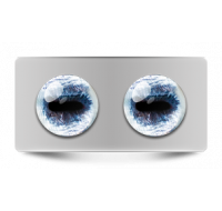 Звериные_02658