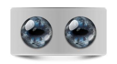 Звериные_02661