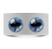 Звериные_02664