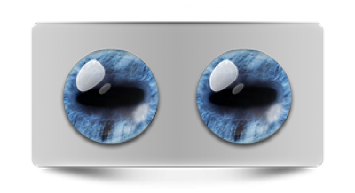 Звериные_02664