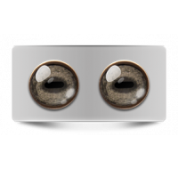 Звериные_02665