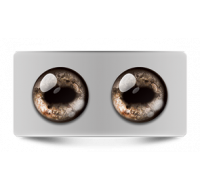 Звериные_02668