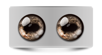 Звериные_02668