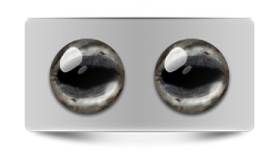 Звериные_02670