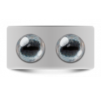 Звериные_02671