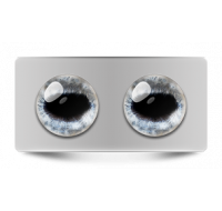 Звериные_02672