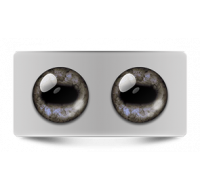 Звериные_02673