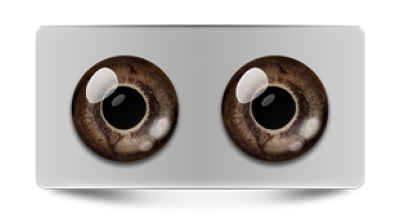 Звериные_02677