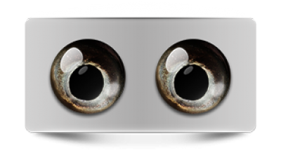 Звериные_02678