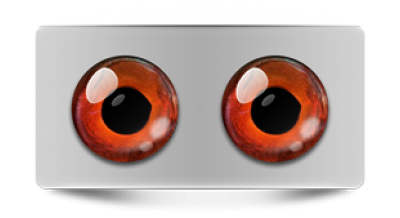 Звериные_02680